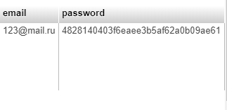 Фрагмент таблицы «Персонал» с зашифрованным паролем